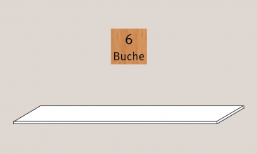 Hammerbacher QRS Zubehoer Einlegeboden Buche 60cm
